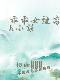 乖乖女被脔日常h小说