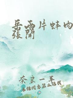 岳两片蚌肉缓缓张开