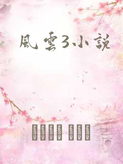 风云3小说