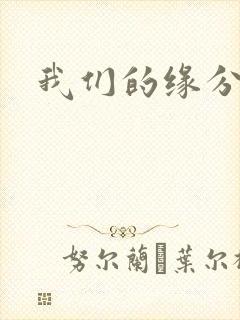 我们的缘分小说