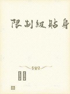 限制级贴身高手