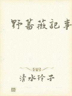 野蔷薇记事薄