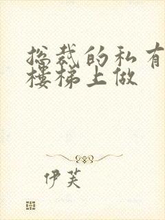 总裁的私有宝贝楼梯上做