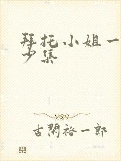 拜托小姐一共多少集