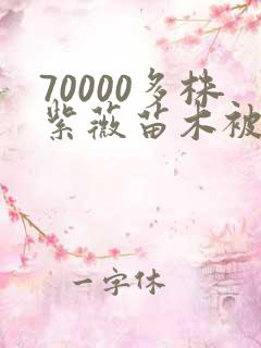 70000多株紫薇苗木被强毁