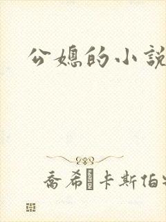 公媳的小说