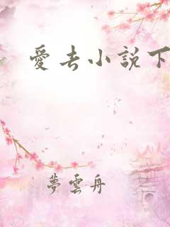 爱去小说下载网