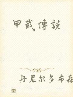 甲武传说