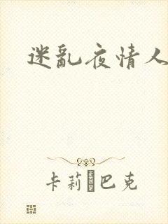 迷乱夜情人