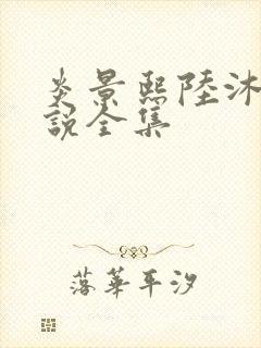 炎景熙陆沐擎小说全集