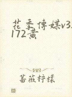 花季传媒v3.172黄