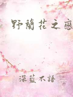 野兰花之恋