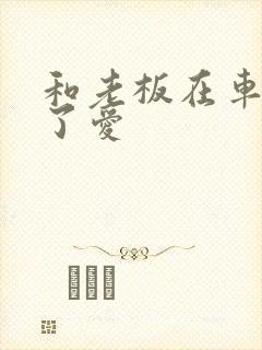 和老板在车里做了爱