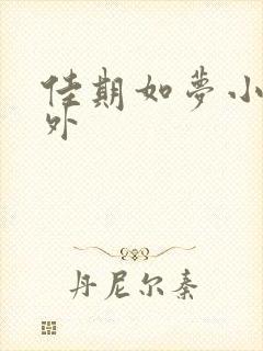 佳期如梦小说番外