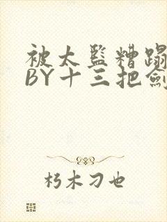 被太监糟蹋之后BY十三把剑