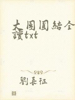 大团圆结全文阅读txt