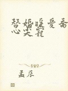 替婚暖爱乔少的心尖宠