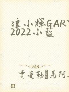 浪小辉GARY2022小蓝