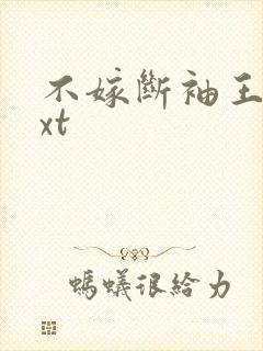 不嫁断袖王爷txt