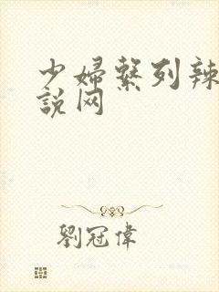 少妇系列辣文小说网