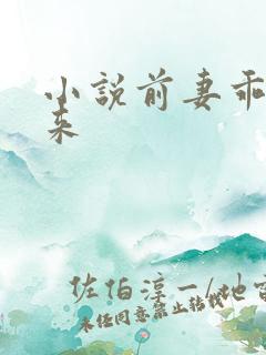 小说前妻乖乖回来