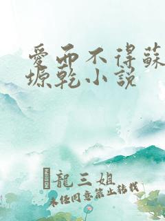 爱而不得苏路顾塬乾小说