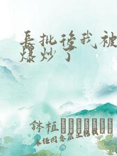 长批后我被宿敌爆炒了