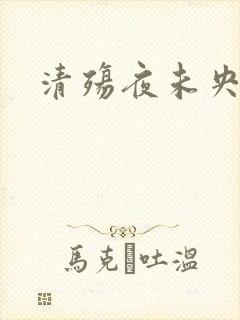 清殇夜未央