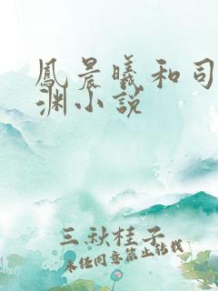 凤晨曦和司鸿颜渊小说