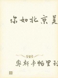 你如北京美丽