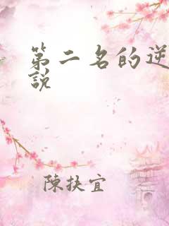 第二名的逆袭小说
