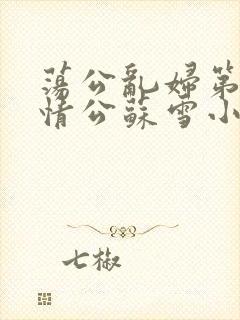 荡公乱妇第1章情公苏雪小说