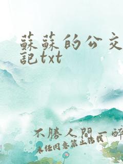 苏苏的公交车日记txt