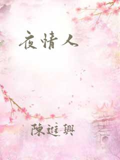夜情人