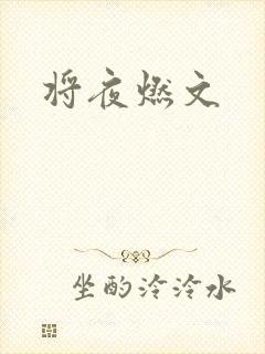 将夜燃文