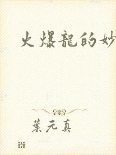 火爆龙的妙管家