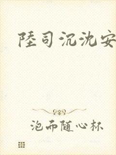 陆司沉沈安