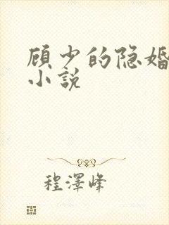 顾少的隐婚罪妻小说