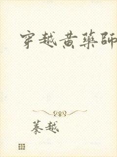 穿越黄药师之子