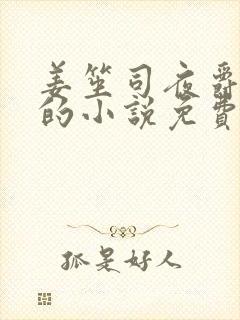 姜笙司夜爵顾念的小说免费阅读