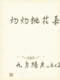 灼灼桃花长相思