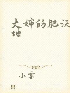 大婶的肥沃的土地
