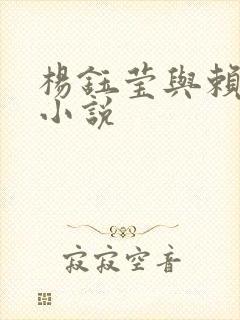 杨钰莹与赖昌星小说