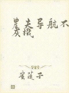 农夫导航不要打灰机