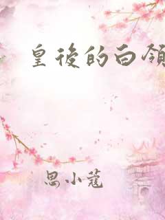 皇后的白领生活