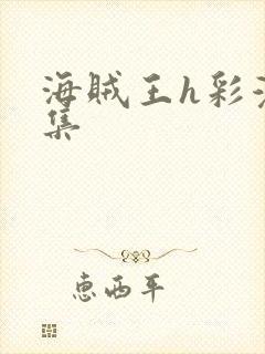 海贼王h彩漫画集