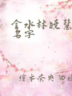 金水林晓慧小说名字
