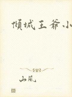 倾城王爷小小妃