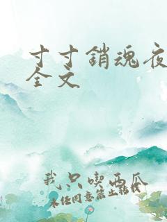 寸寸销魂夜春光全文