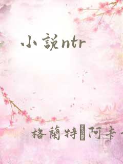 小说ntr